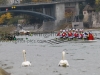 baselhead20130466.jpg