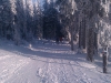 mob-2014-1212.jpg
