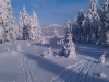 mob-2014-1216.jpg