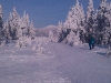 mob-2014-1222.jpg