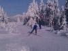 mob-2014-1223.jpg