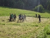 p1150008.jpg