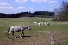 Oboz 2010 jarní rozveslování