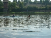 p1090551.jpg