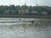 p1090553.jpg