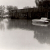 sejmout0008_0.jpg