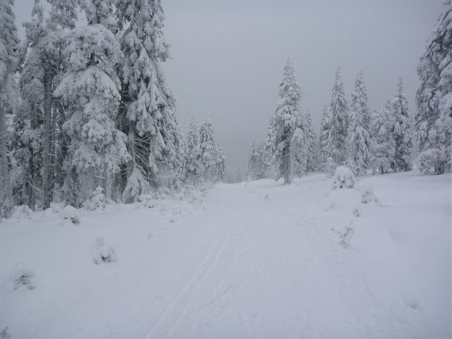 p1010099.jpg